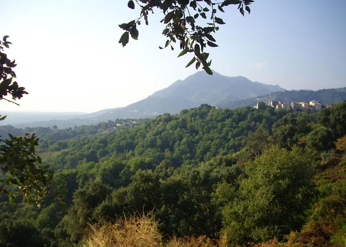 Sole E Ventu By Interhome Tatil Evi Velone-Orneto